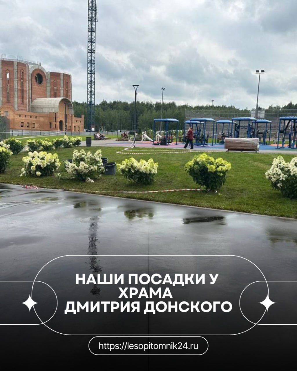 Наши посадки у Храма Дмитрия Донского Наши посадки у Храма Дмитрия Донского