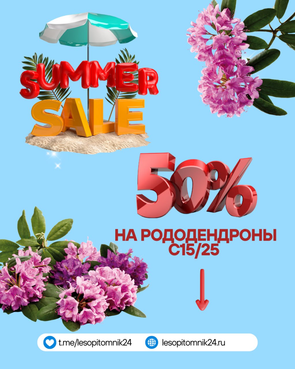 -50% на рододендроны! Только сейчас — роскошные кусты по суперцене! -50% на рододендроны! Только сейчас — роскошные кусты по суперцене!
