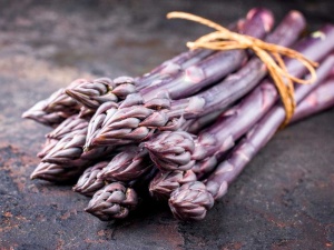 Спаржа 'Pacific Purple'
