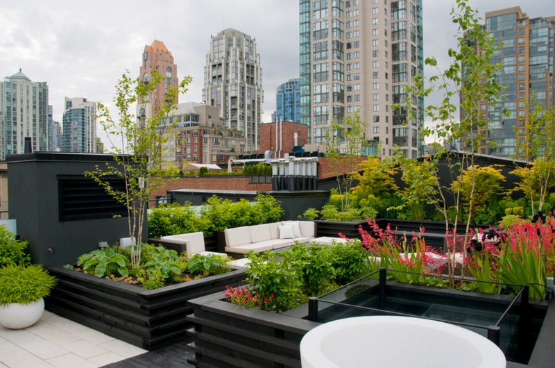 All sizes Yaletown Roof Project Flickr - Photo haring!.png