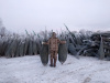 Ель обыкновенная новогодняя (срез) 80-100-120 см